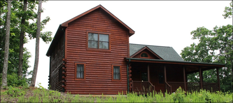 Professional Log Home Borate Application  Craig County, Virginia