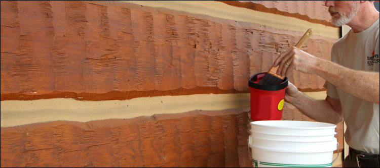 Professional Log Home Staining  Paint Bank, Virginia